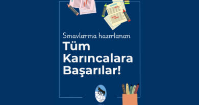 Başarılar Dileriz!